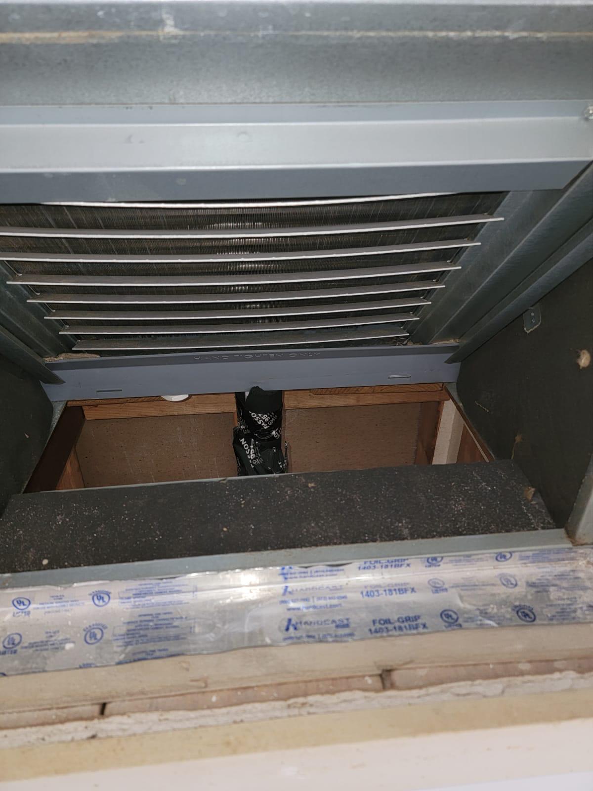 condenser coil cleaning for a Briar Forest home