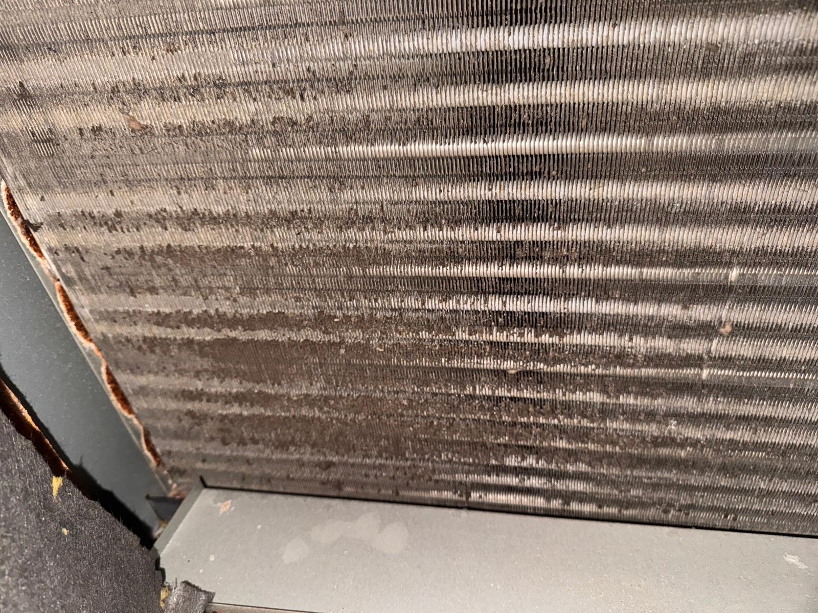 Condensers - dirty ac evaporator coil houston tx