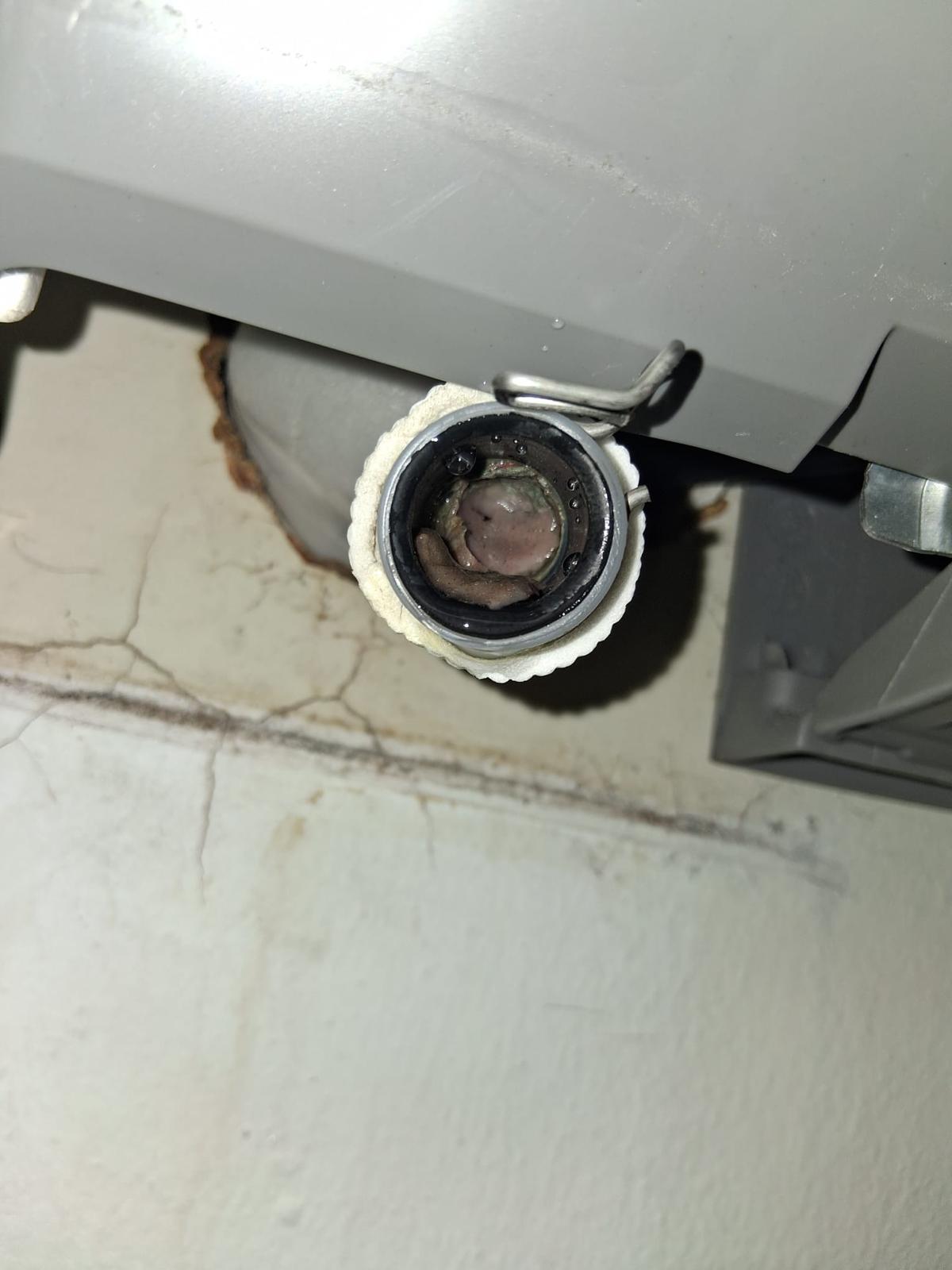 Piping & Refrigerant - hvac drainpipe maintenance houston tx