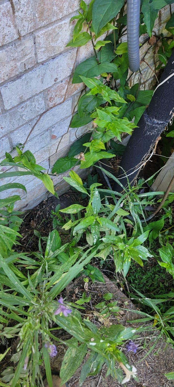 Piping & Refrigerant - hvac pipe exterior houston tx